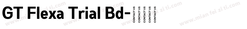GT Flexa Trial Bd字体转换